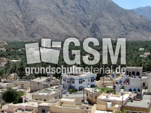 290 Blick auf Nakhl und Palmenplantage.JPG